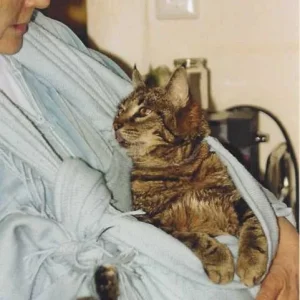 Ein Hochgenuß nicht trapseln zu müssen