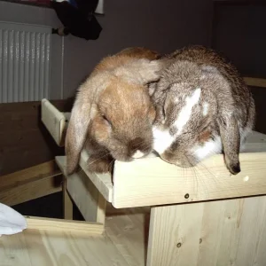 Und hier sind wir nochmal...