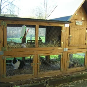 ...mein kleiner Rocco  15.2.07