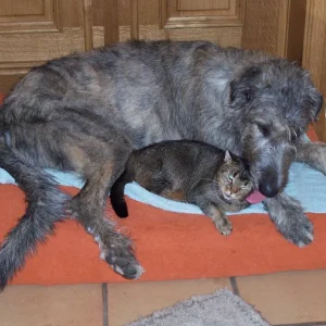 Meine Freundin und ich