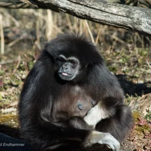 Die ersten Sonnenstrahlen geniessen...