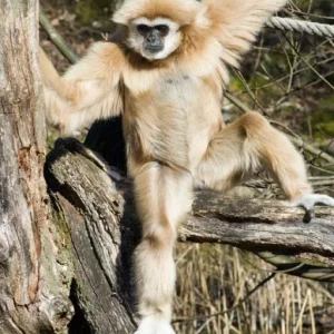 Die ersten Sonnenstrahlen geniessen... (und das selbe in grün äh weiss :D)