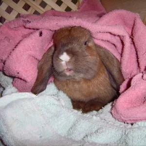 Was will er uns sagen???