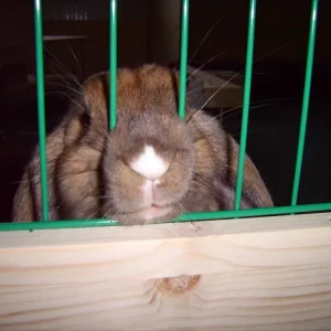 Gib mir entlich was, ich hab hunger...