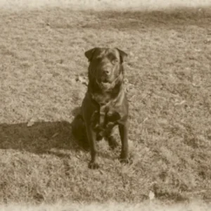 noch ein altes foto von kenai