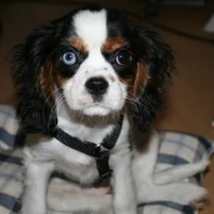 *Sugar* my own love! ^^