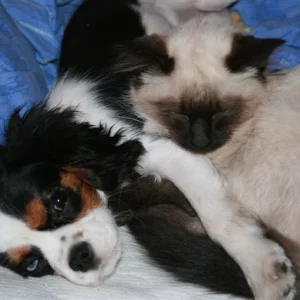 kleine-große Schmusebacken