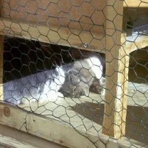 Wir genießen den Frühling "Die Erste"