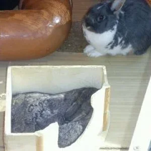 Wir genießen den Frühling "Die Zweite"