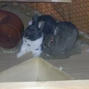 Warum macht die jetzt ein Foto von uns ?