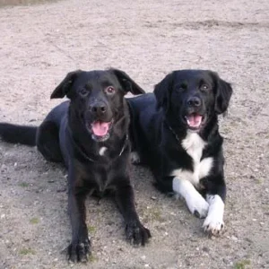 Rusty und sein bester Freund Snoopy