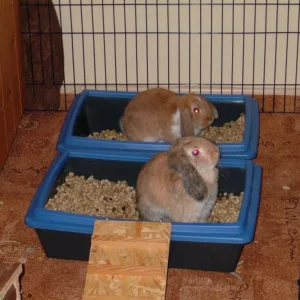 erleicherung zu zweit