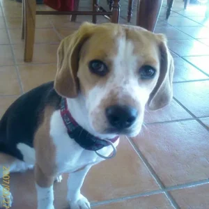 Gehen wir jetzt an den Strand