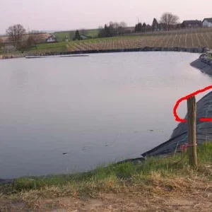 Da ist Rusty reingerutscht.