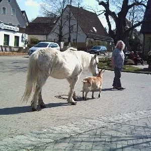Spaziergang durch Schwaig...