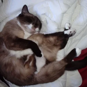 die Nacht war echt anstrengend