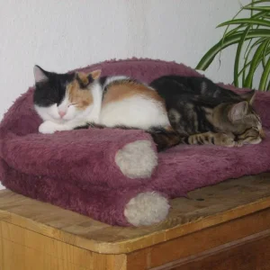 na sind wir net süss