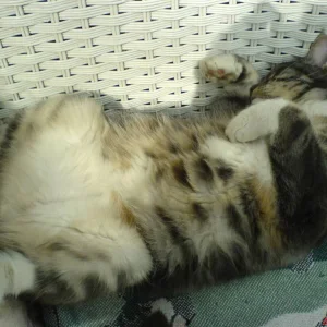 ....mal die Schlafposition ändern....