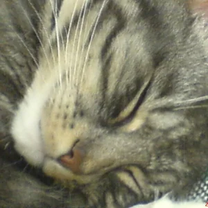 ....seelig und süß.....