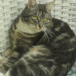 ....will meine Ruh haben....