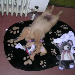 mein Lieblingsplatz im Büro