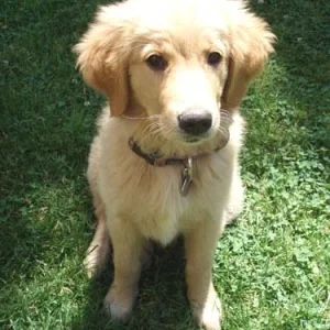 Sitz ist für mich auch kein Problem