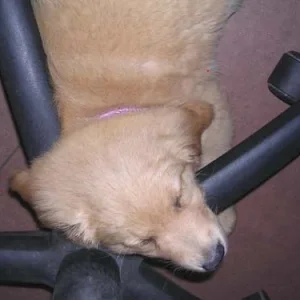 Mein Lieblingsschlafplatz im Büro