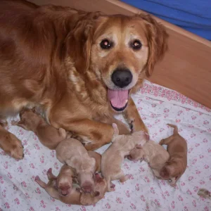 Meine Mami und ich - da war ich noch sehr klein