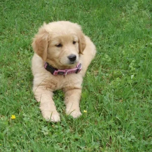 Hier bin ich genau 8 Wochen