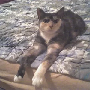 Die längsten Beinchen der Welt :)