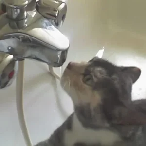 Grundsätzlich nur frisch aus dem Wasserhahn ö.ö