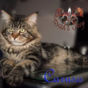 Caruso