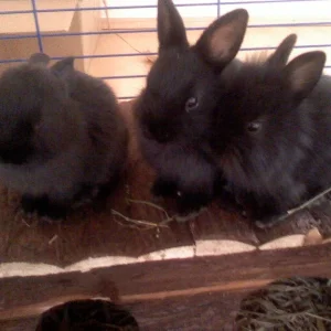 so gross sind meine kleinen geworde