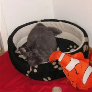 uff bei 36 grad hitze daheim