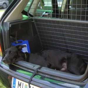 Bequem im Kofferraum?!