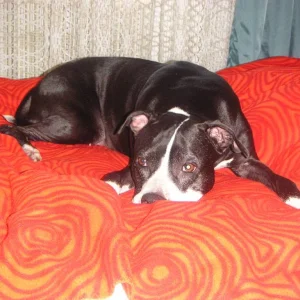 bin das baby musst mich lieb haben!