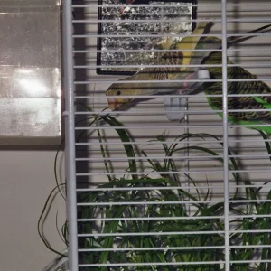 Knopf und Aurora beim Naschen