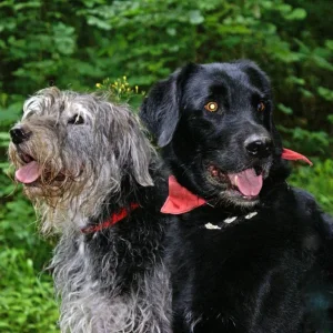 Nie die gleiche Richtung