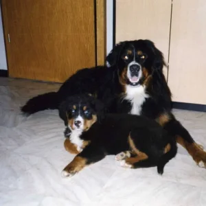 In Gedenken an Charly