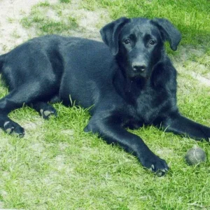 Unser Neuzugang Teddy