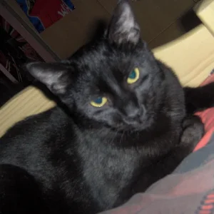 Mein Billy der Poser xDD