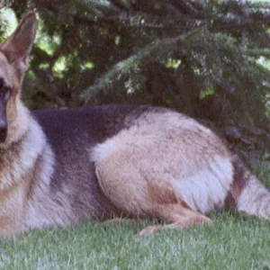 Hexe beim ausspannen