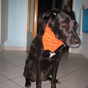 Maddox und sein neues "Outfit"