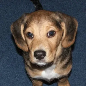 Kurzvorstellung Nelson