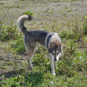 Das haben wir gar nicht gerne....