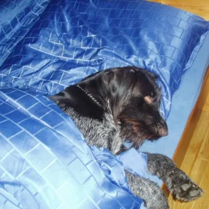 Wer zuerst kommt hat den Platz!