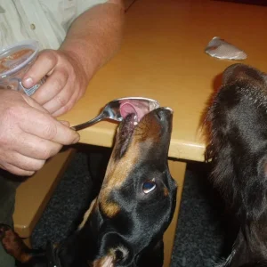 Besuch wird bevorzugt?