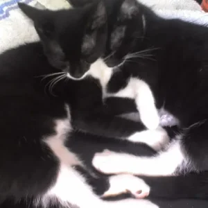 Beide beim kuscheln und schlafen