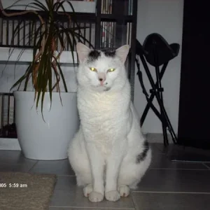 ...und das ist der Lucky, der Fetz