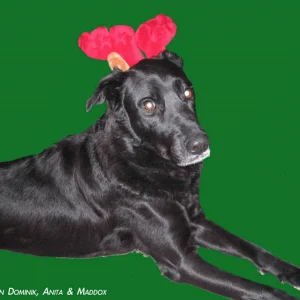 Fröhliche Weihnachten